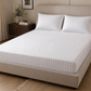 Duke Tranquil Threads Premium Cotton Fitted Bed Sheet